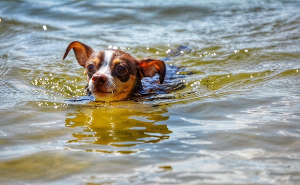 Comment débuter avec les réseaux sociaux comme Facebook ou Instagram ?